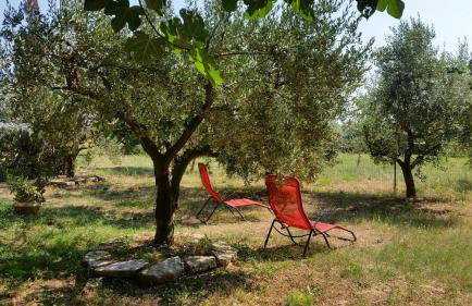 Apartments Vera Barbariga - Photo 15