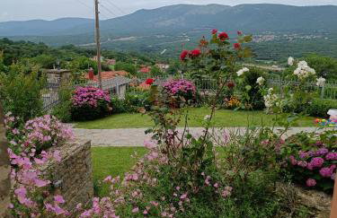 ΑΡΧΟΝΤΙΚΟ ΜΑΝΤΕΙΟ - Photo 12