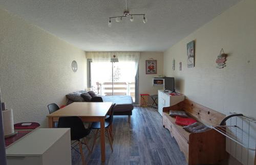 Pla d' Adet, appart 4 personnes Résidence le Grand Stemm , station de ski Saint Lary , pieds des pistes et randonnées - Photo 14