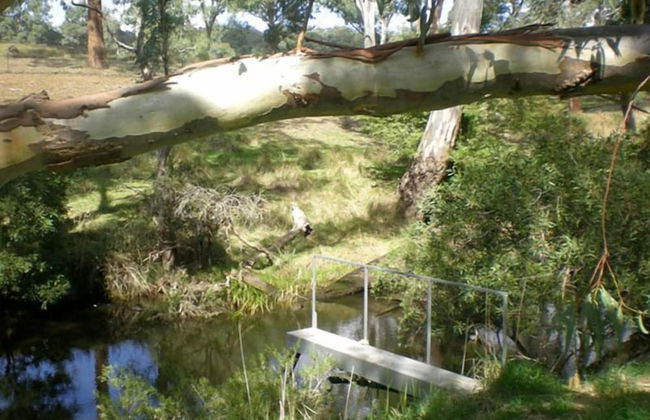 Taradale House Estate - Foto 61