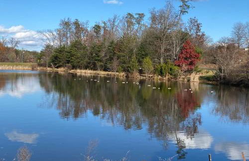 Peaceful Luxury 3 beds*Lake*Kitchen*LaundryMetro - Foto 48