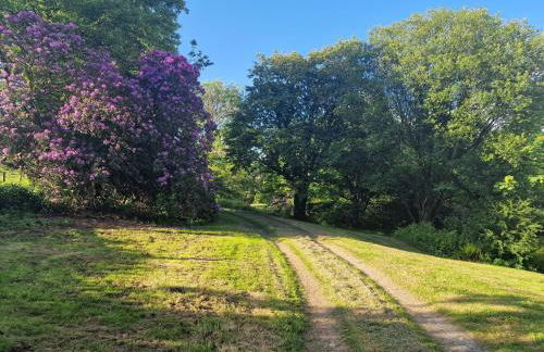 Sandpiper Cottage - Foto 31