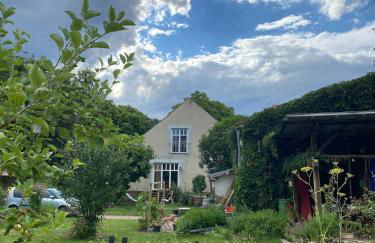 Käthes Sommerfrische - Photo 13