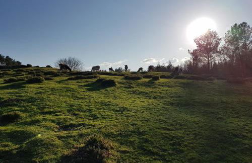 EL VIEJO MOLINO - Foto 51