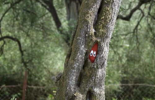 LEFKES Apartments Sidari - Foto 24