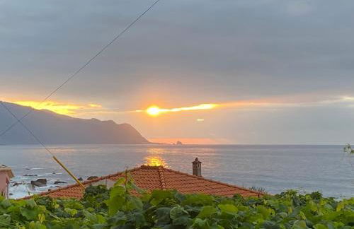 Ocean Garden, 4 units by the ocean - Foto 13