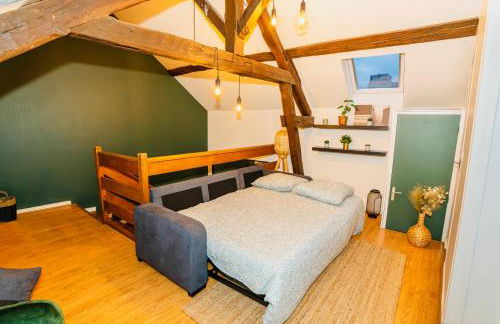 Nid douillet La Cour du Dauphin, Vue cathédrale imprenable - Foto 18