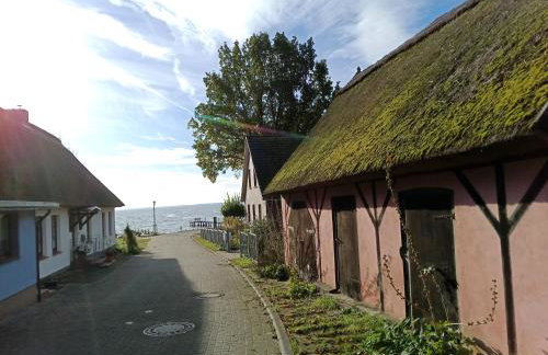 Fischstübchen Neeberg Apt 1 – Wald und Wiese - Foto 45