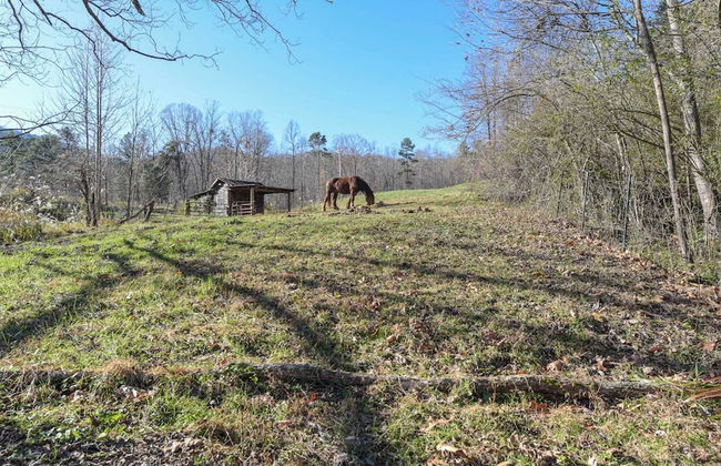 Deer Haven by Avantstay Cabin w/ Pond, Waterfall - Photo 29