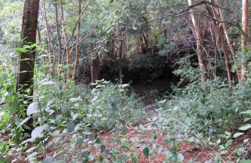 Cabanas da Viscondessa - Foto 10