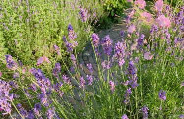 Rural Retreat With Garden In The Wendland Region - Foto 4