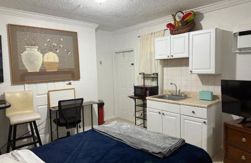 My Garden in Miami Florida - Photo 8