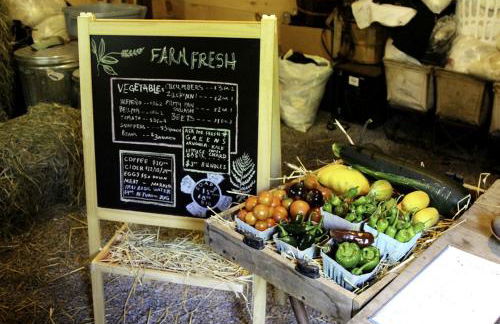Gorgeous Fully Restored Caravan Nestled in the Trees Along Silver Lake for a Unique Vacation in Woodridge, New York - Foto 36