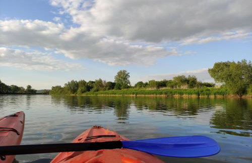 Wielgosówka - Foto 22