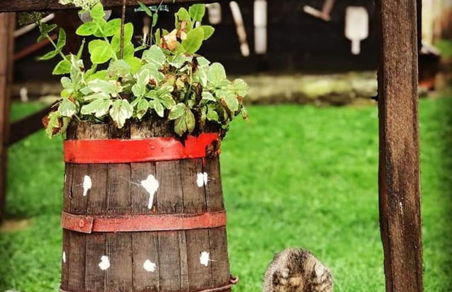 Apartment Sarganska Osmica 8 - Photo 17