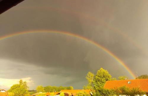 Zum Dammerbauer - Photo 10