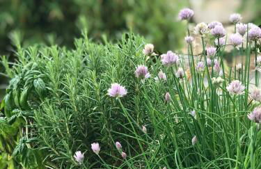 Architect-Apartments 80qm 3 Schlafzimmer, integrierter Küche und Bad, 2min von A8, Garten mit Sitzgruppe, ruhig und modern - Foto 11