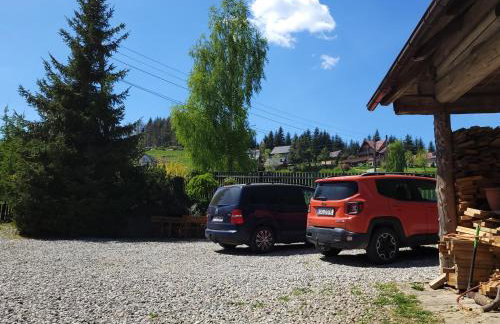 Domek na Obidzy - Foto 41