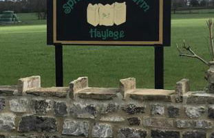 Mallard at Spring Head Farm - Foto 29