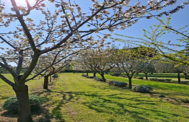 Beautiful Apartment Near Riviera - Foto 34