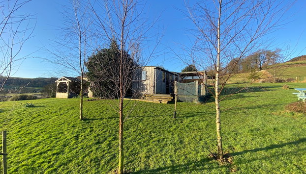 Shepherds Hut-hot tub hire-dog friendly-views - Foto 2, Profilbild