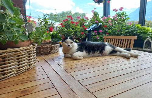 Il loft di Angela - You & Me case vacanza - Foto 19