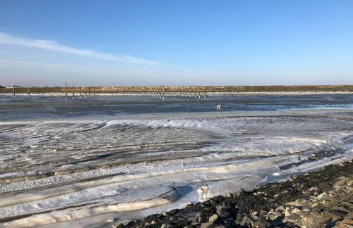 Petine Langeoog - Photo 21