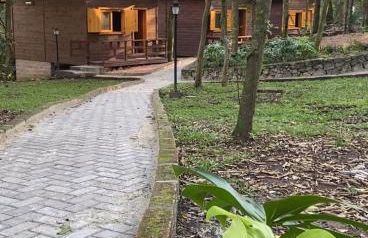 Cabanas dos Plátanos - Foto 24