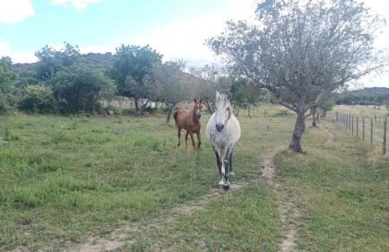 Casas de Santa Rita - Foto 73