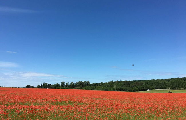 6 Person Holiday Home in Jaegerspris-by Traum - Photo 7