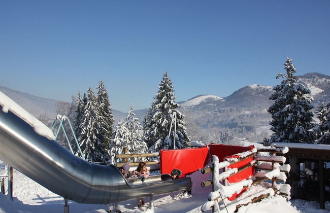 Nice Chalet With Dishwasher, in the High Vosges - Photo 35