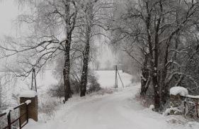 Zacisze pod brzozami - Foto 47