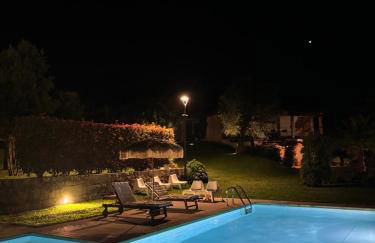 Casa D' Almeidas - Foto 10