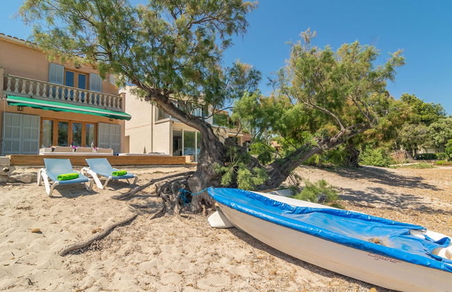 Cas Ferrerico in Mallorca - Foto 28