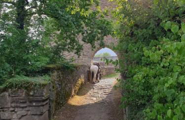 Gutheils-Ferienwohnung - Foto 49