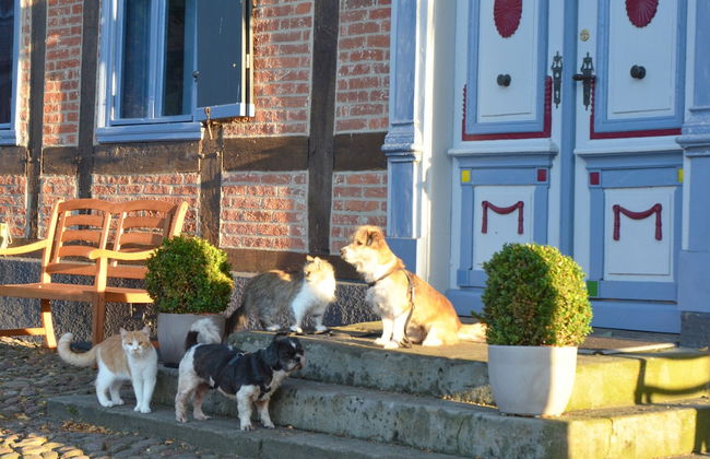 Kulturhof - Photo 26