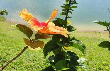 MARAVILHOSO SÍTIO NA BEIRA DA REPRESA - Foto 16