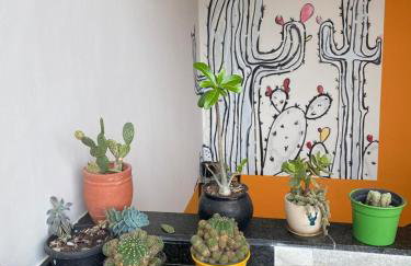 Loft Maria Bonita - Foto 14