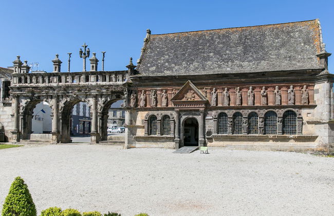 Blaue Hortensie - Foto 25