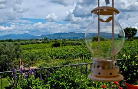 Agriturismo San Giacomo - Foto 37