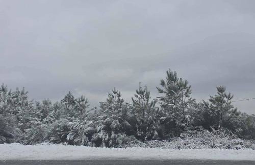 Casa do Forno FR - Foto 77