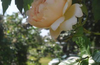 The Hay Loft Southlands Farm - Foto 67