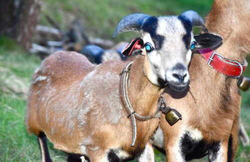 Apartament Nad Potokiem - Foto 33