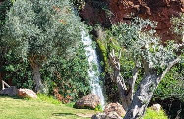 Alte Com Amor - Foto 31