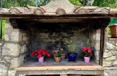 Agriturismo Tassinaia - Foto 7