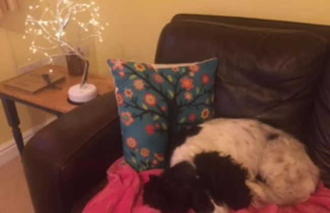 Stunning Lake District Cottage - Photo 18