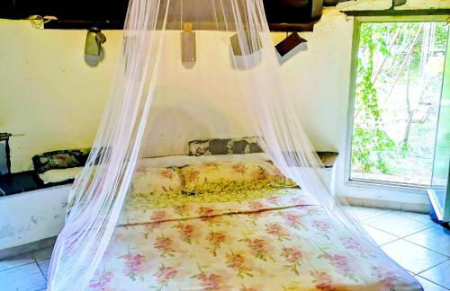 Pinnettu sardo tipica abitazione sarda in ecosistema insetti e animaletti simpatici in condivisione bagno esterno a 10metri Leggere attentamente Prima di prenotare - Foto 1