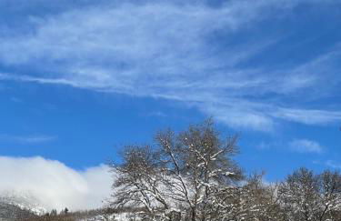 La Holandesa - Foto 40