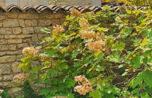 Demeure VERTEUILLAISE - Foto 2