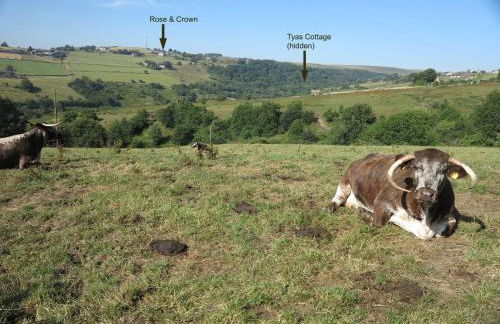 Tyas Cottage - Foto 79